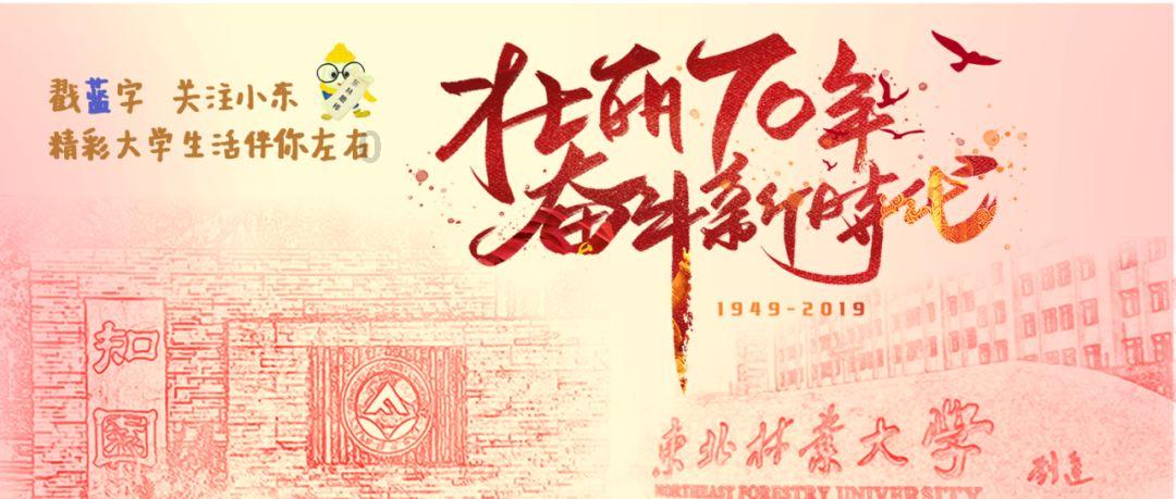蜂王救援